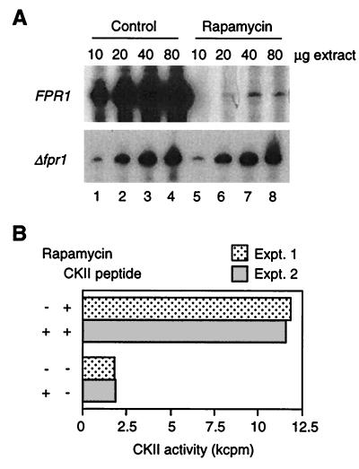 FIG. 5