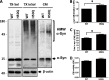 FIGURE 10.