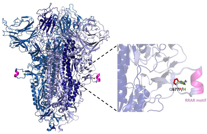 Figure 5.