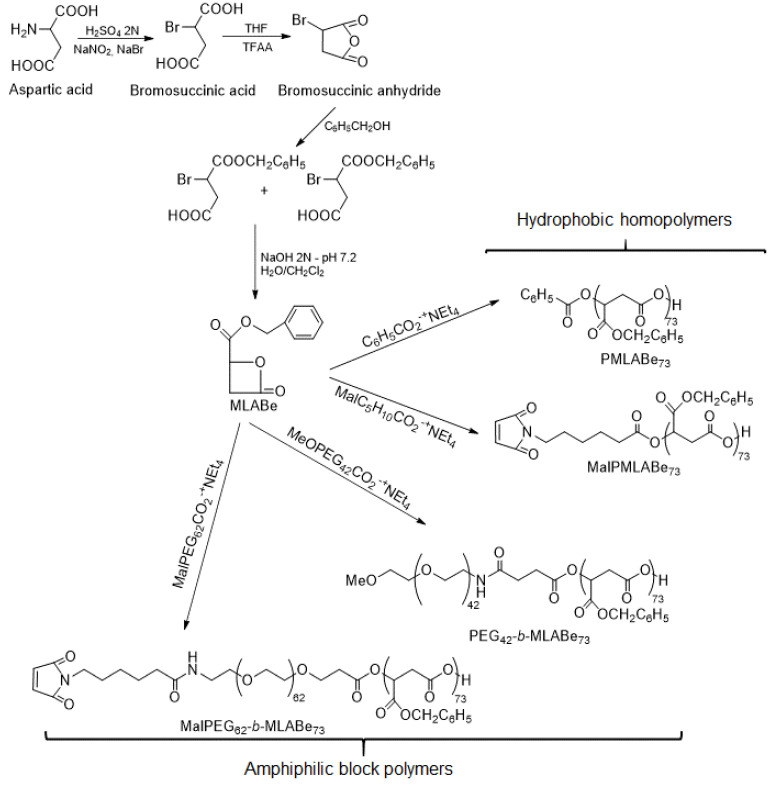 Scheme 1