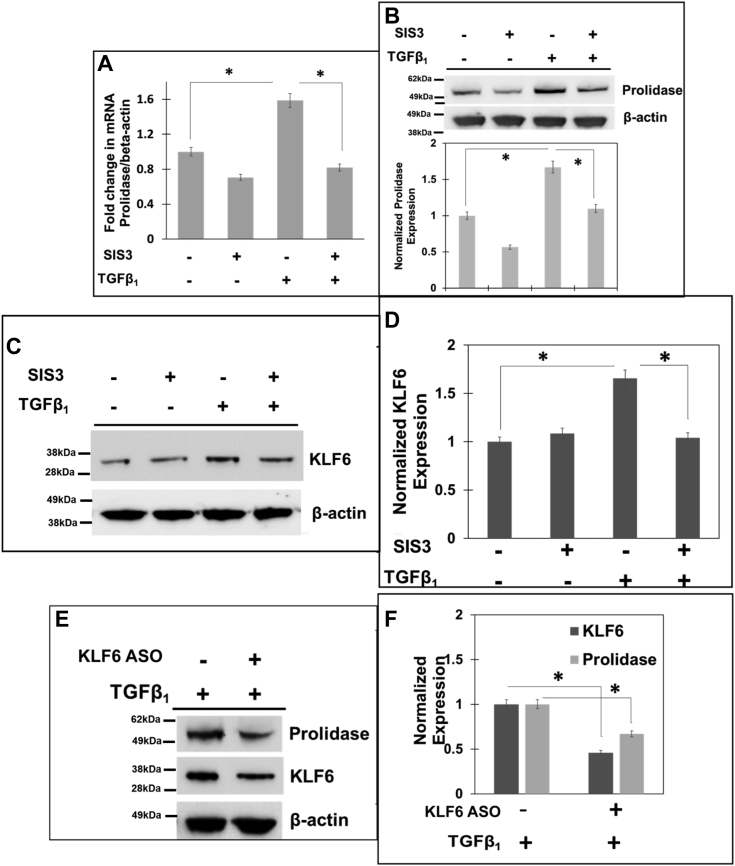 Figure 5