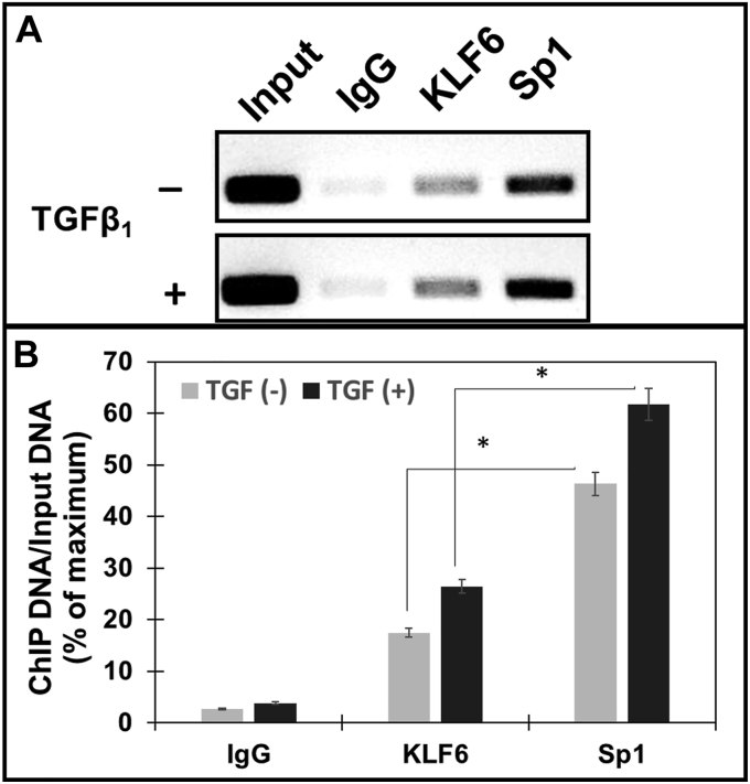 Figure 6