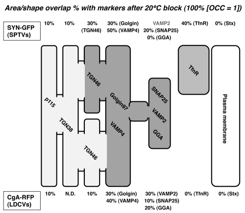 Fig. 9.