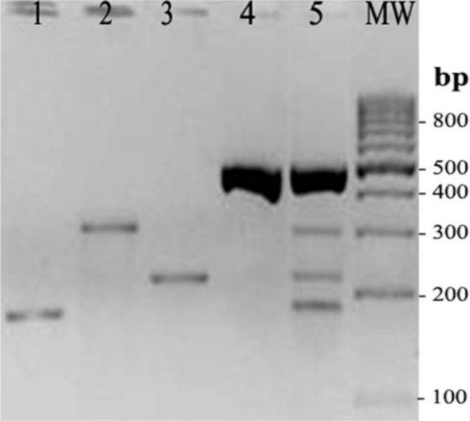 Fig. 2: