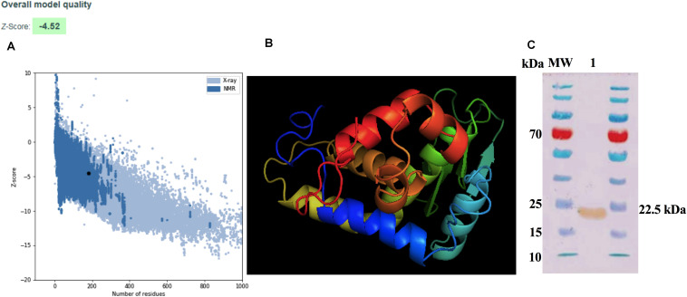 FIGURE 1