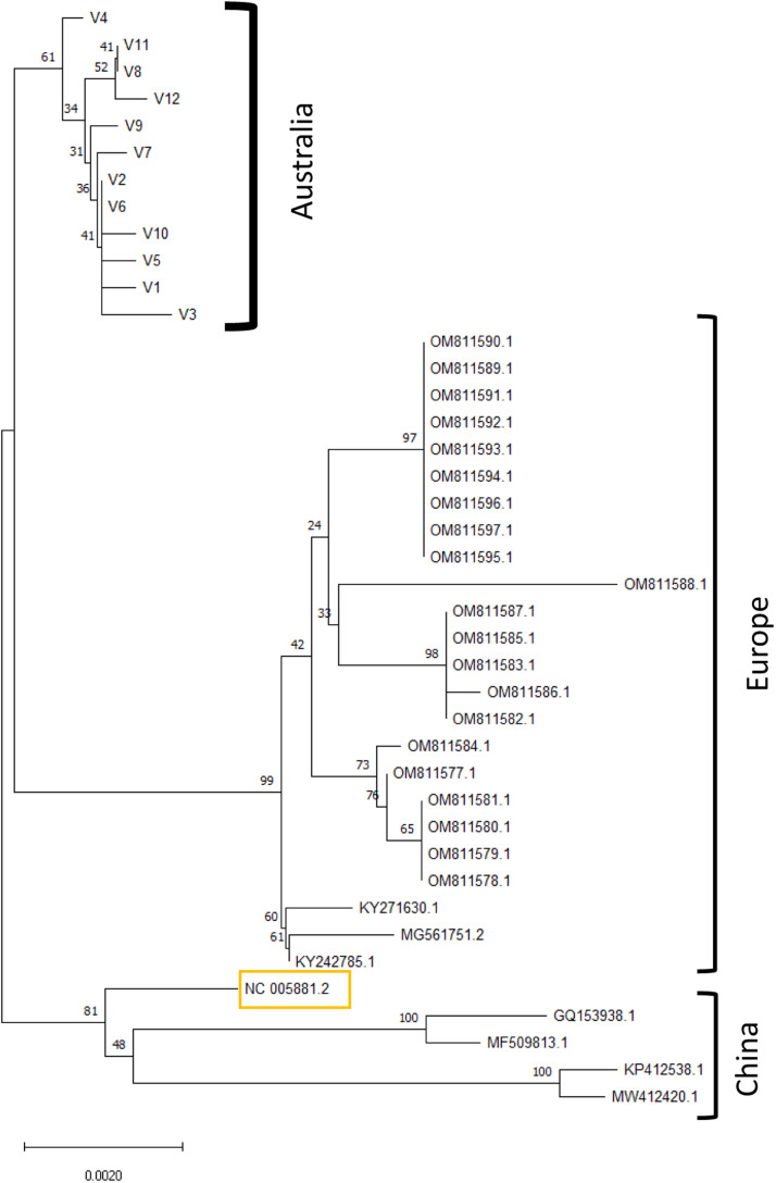 Fig 2