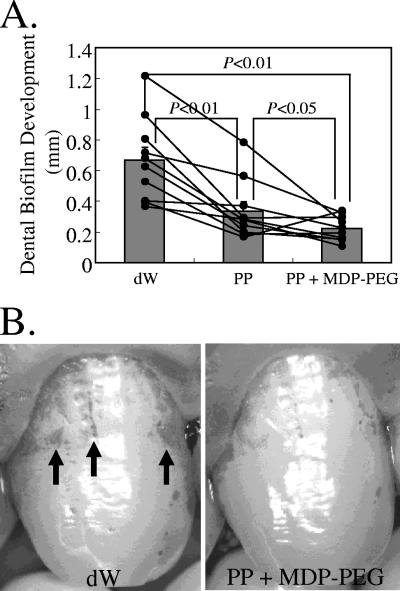 FIG. 7.