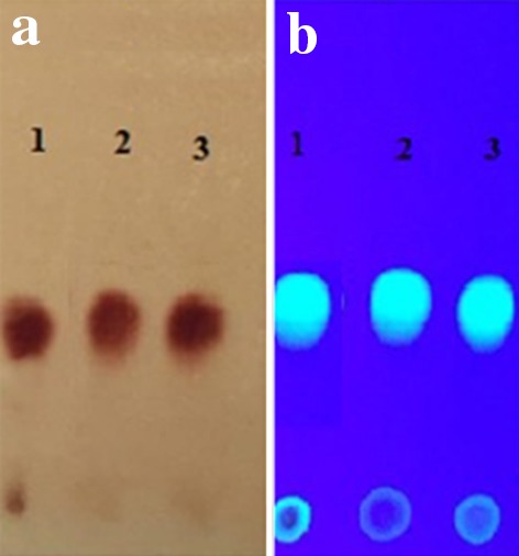 Fig. 1