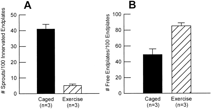 Fig. 12.