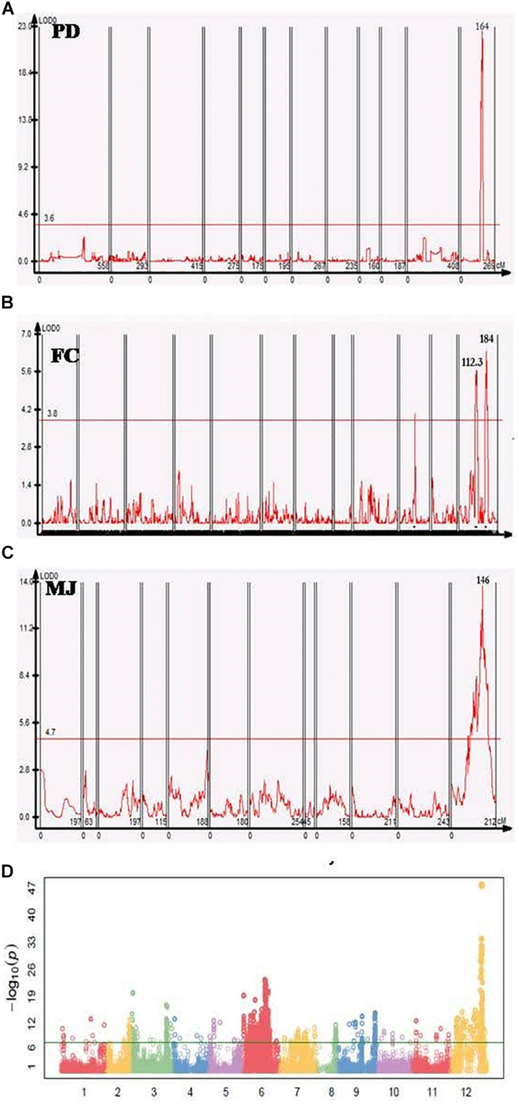 FIGURE 2