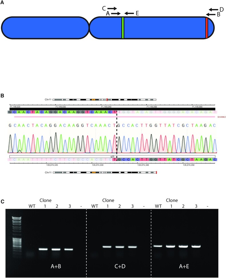 Figure 2.