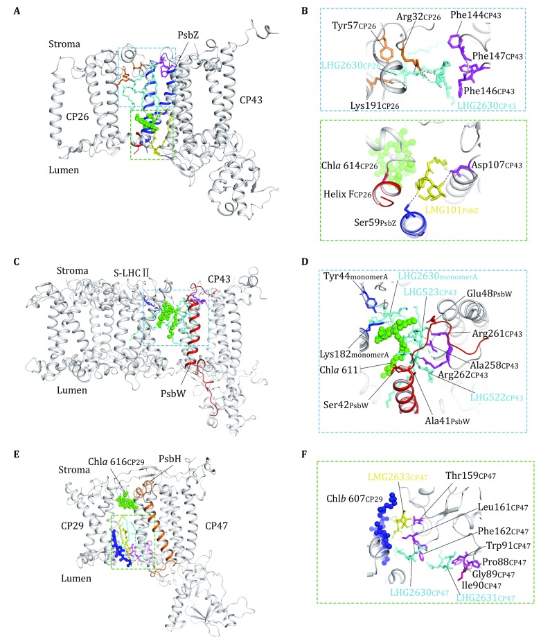 Fig. 7