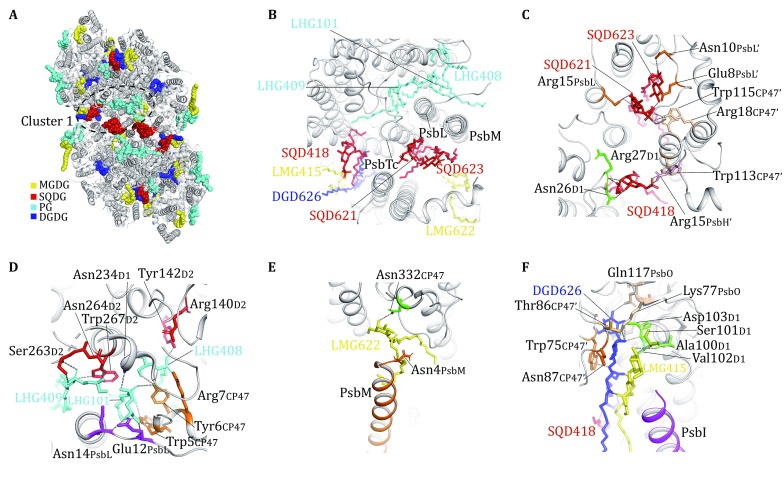 Fig. 3