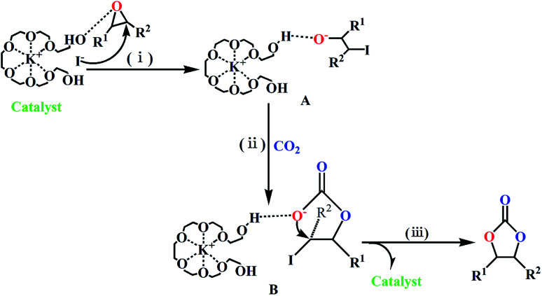 Scheme 5