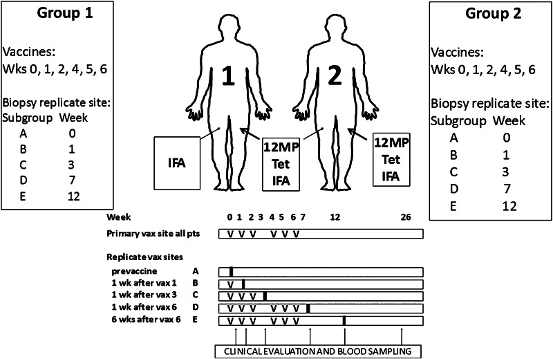 Fig. 1