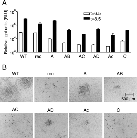 FIG. 2.