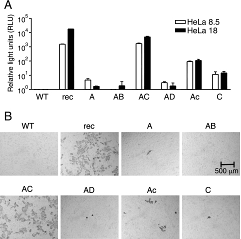 FIG. 3.