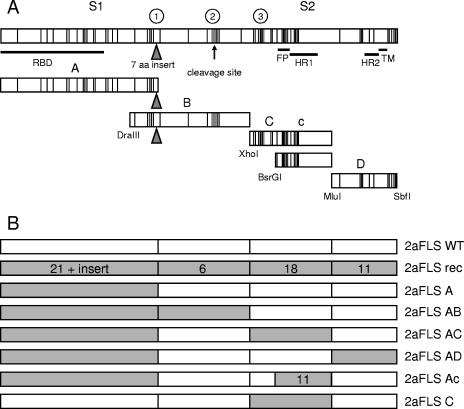 FIG. 1.