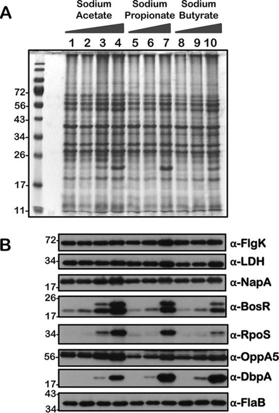 FIG 14