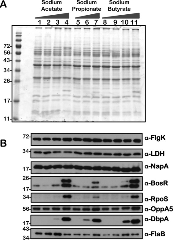 FIG 11