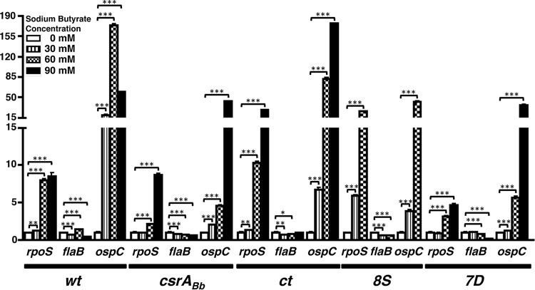 FIG 6