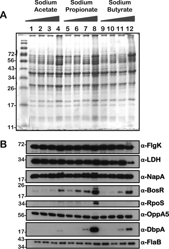 FIG 13