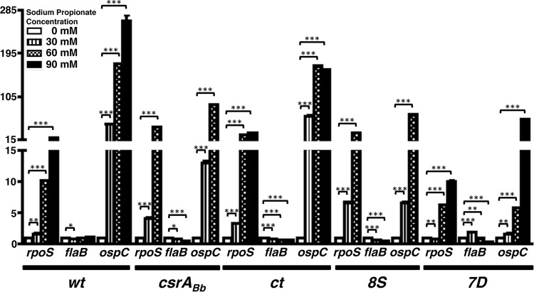 FIG 5