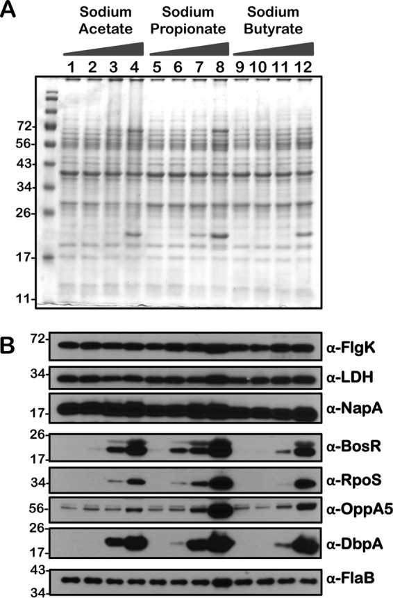 FIG 10