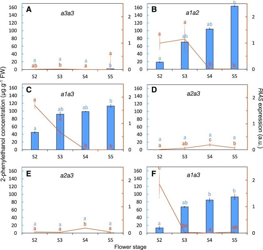 Figure 6.