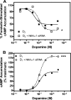 FIGURE 11.