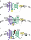 FIGURE 14.