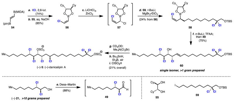 Scheme 6