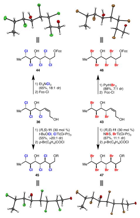 Scheme 4