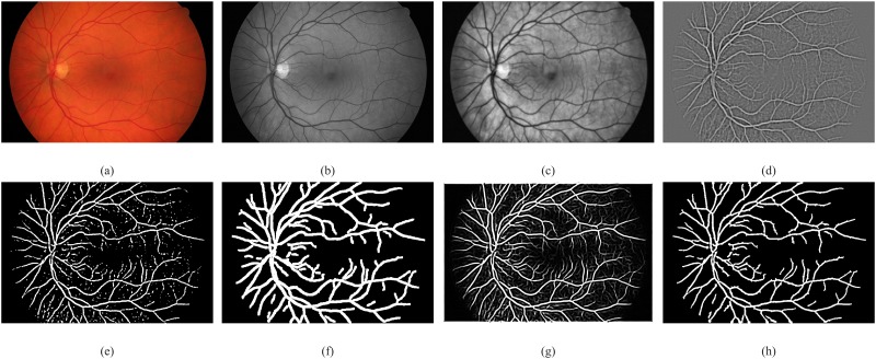 Fig 10