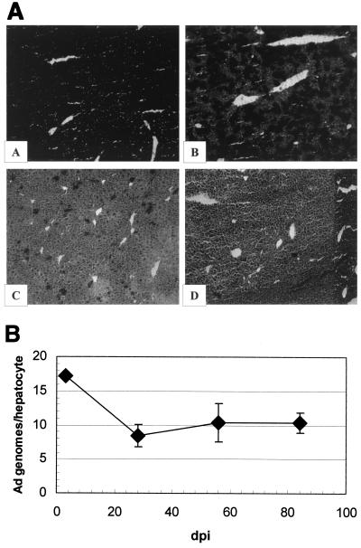 FIG. 6