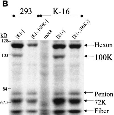 FIG. 5