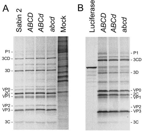 FIG. 5.