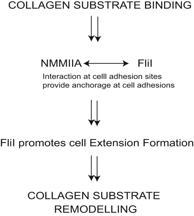 FIGURE 8: