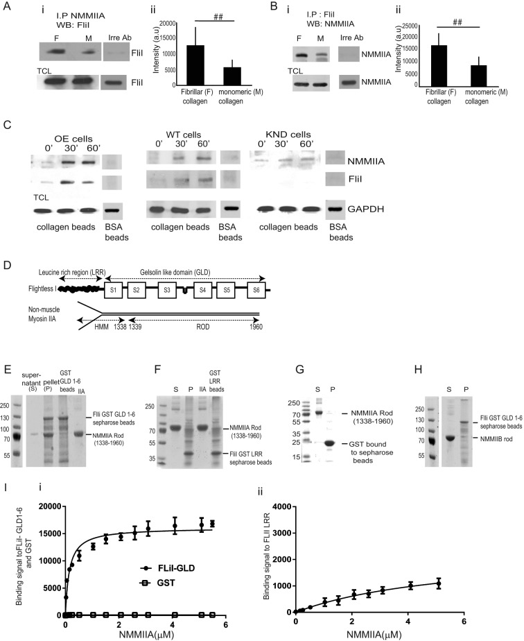 FIGURE 5: