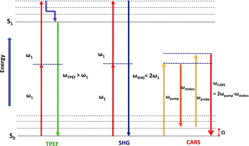 Fig. 2