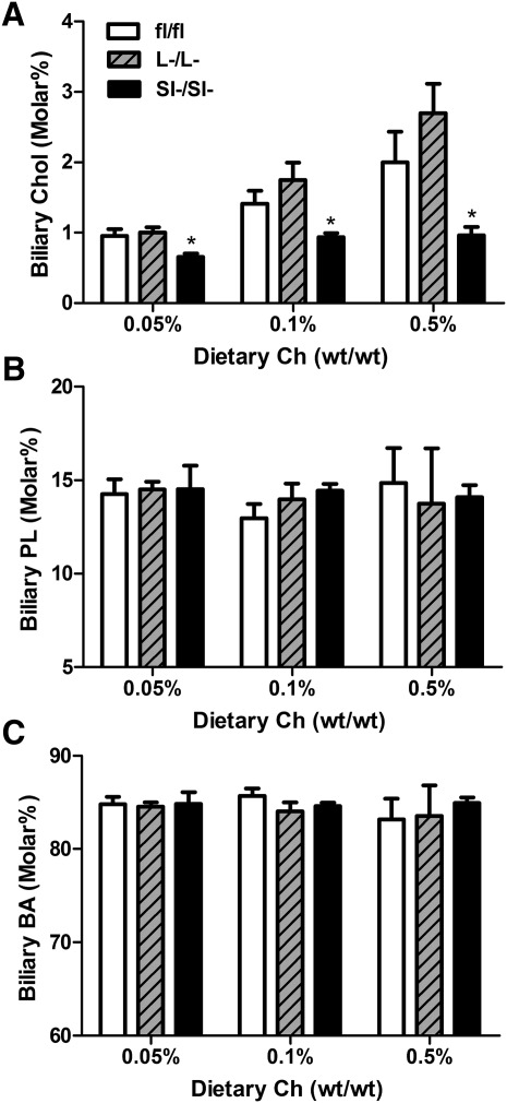 Fig.6.