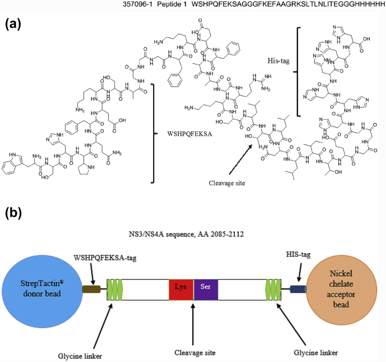 Fig. 1