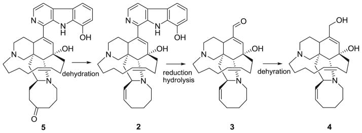 Fig. 8