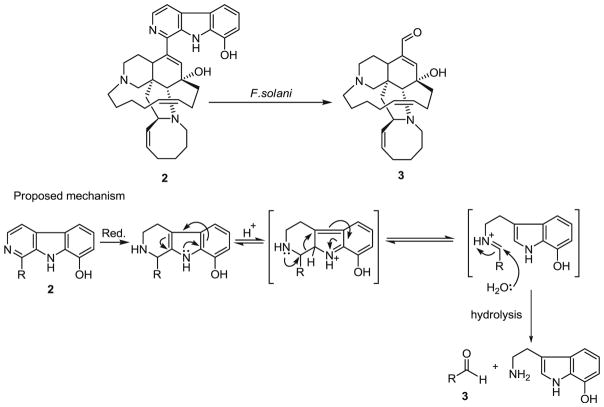 Fig. 9