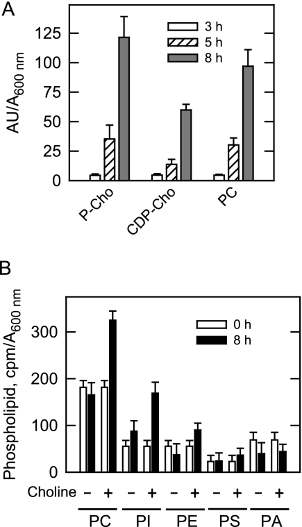 FIGURE 10.