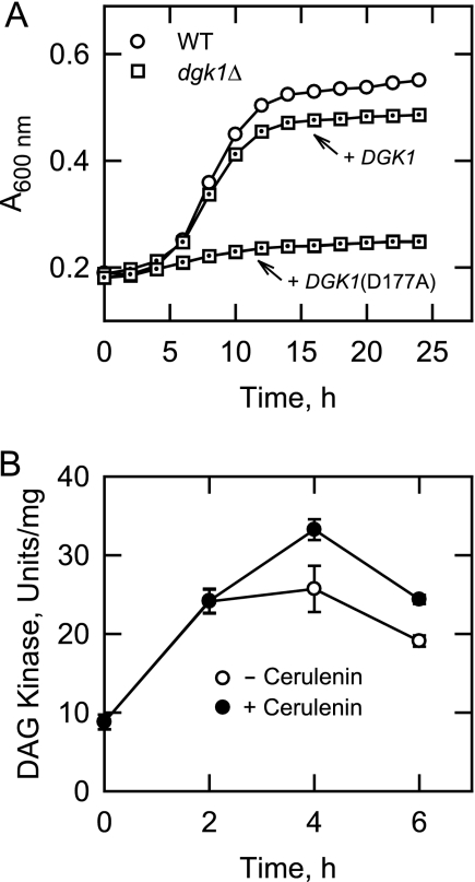 FIGURE 4.