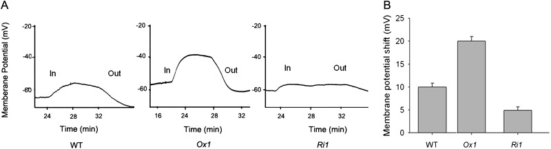 Figure 7.