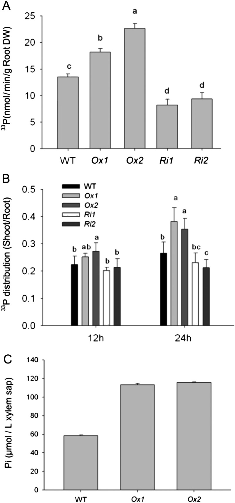 Figure 5.