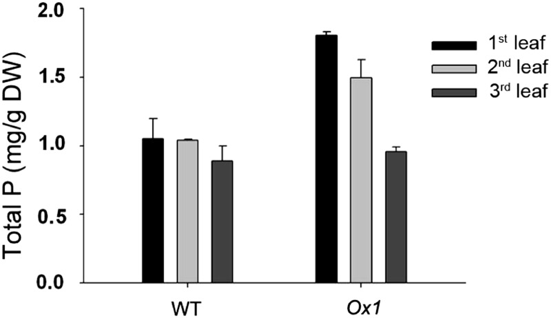 Figure 6.