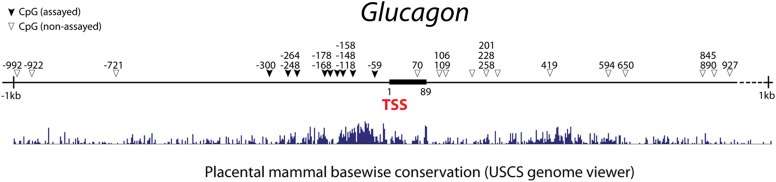 Figure 3—figure supplement 3.